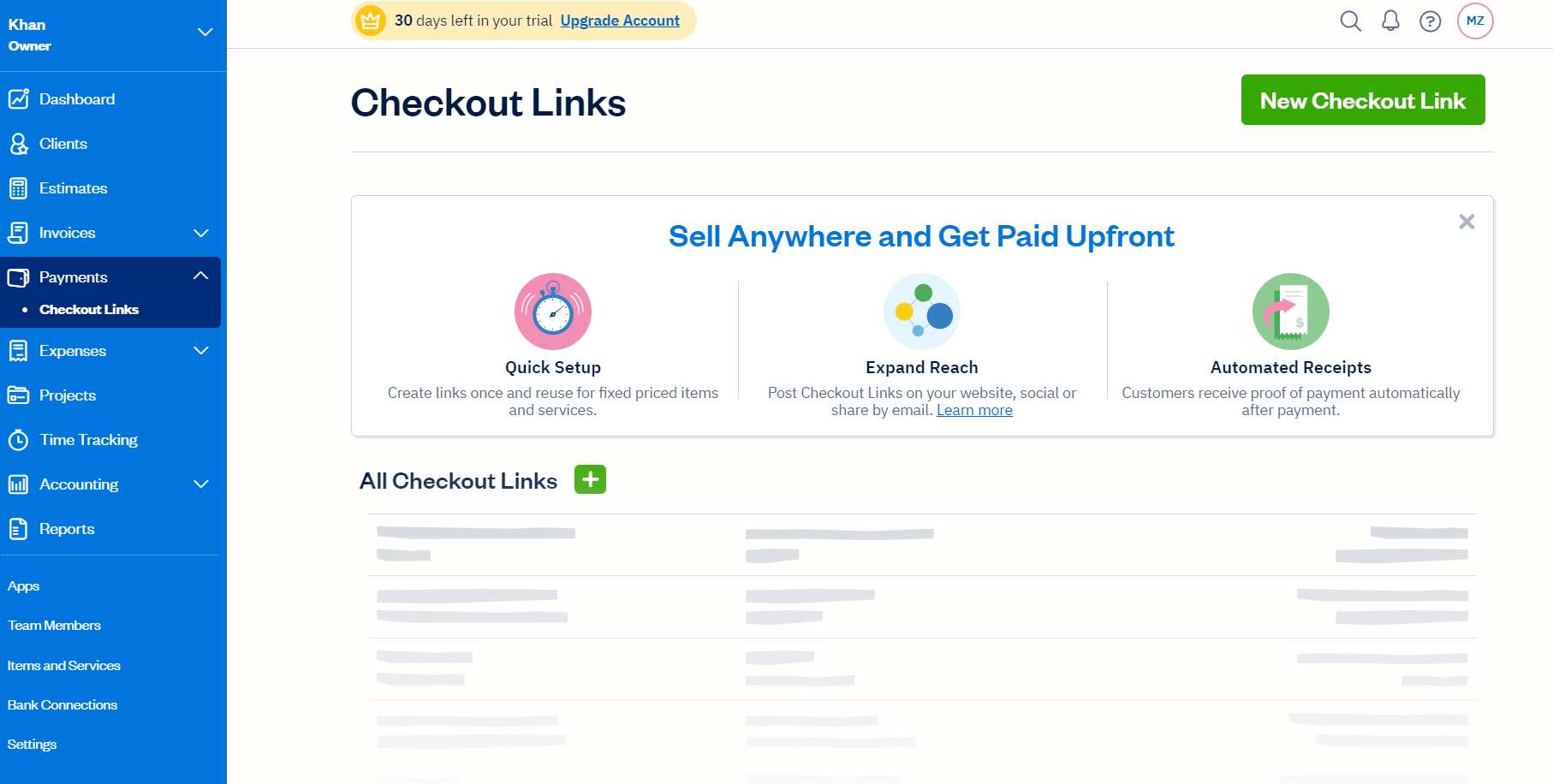 Getting Paid with Checkout Links & Payment Processing